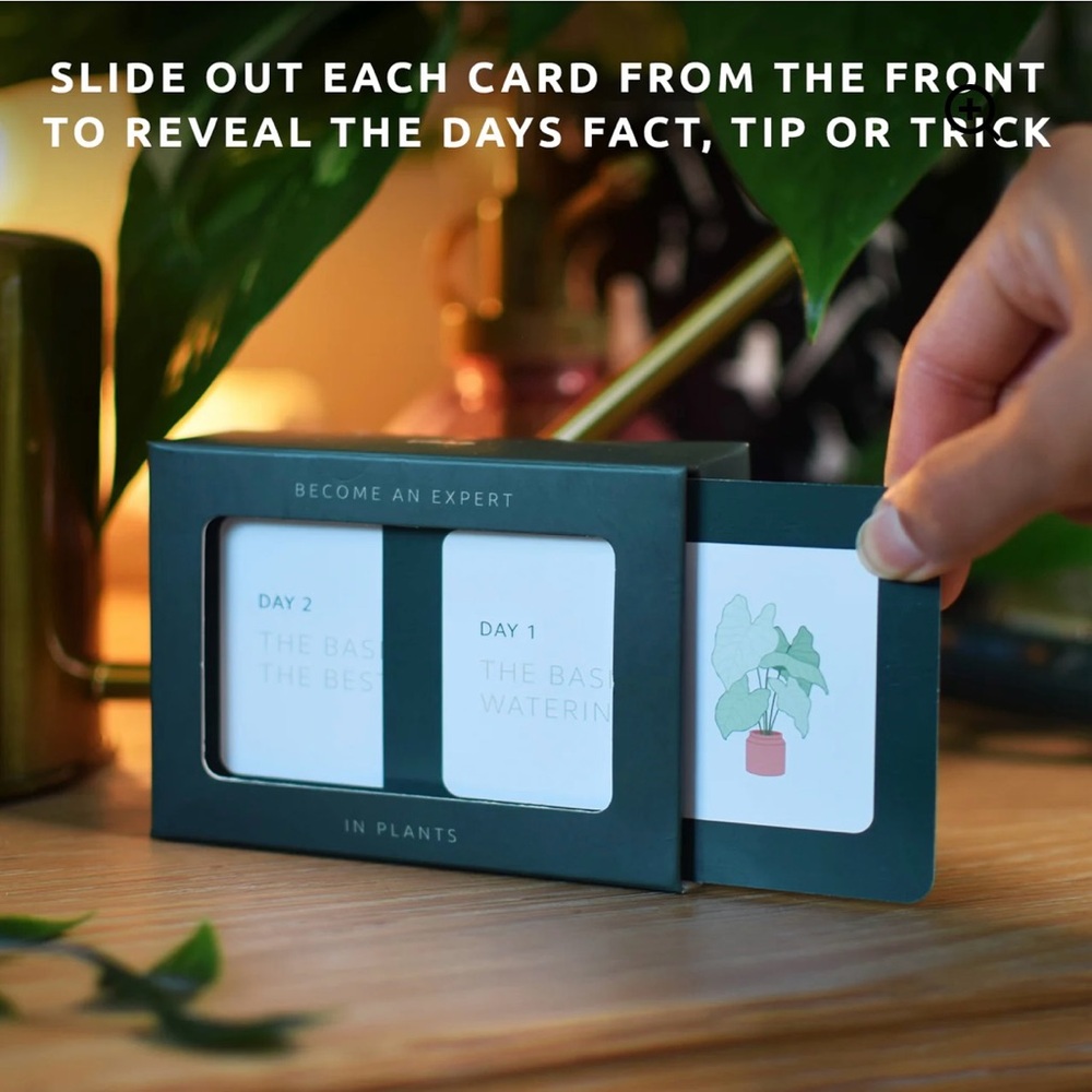 “Pikkii” 90 Plant Fact Cards to become an Expert🌱 Tips to grow a green thumb